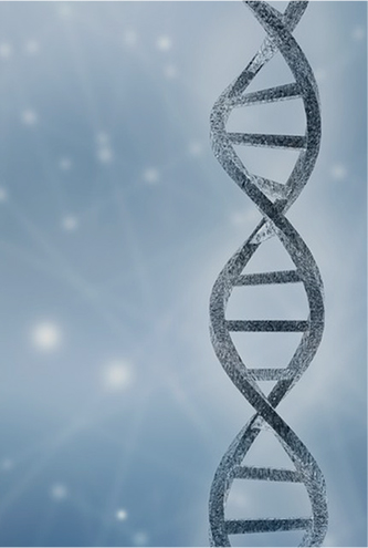 Genetics
