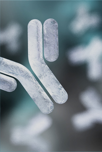 Immunology/Serology